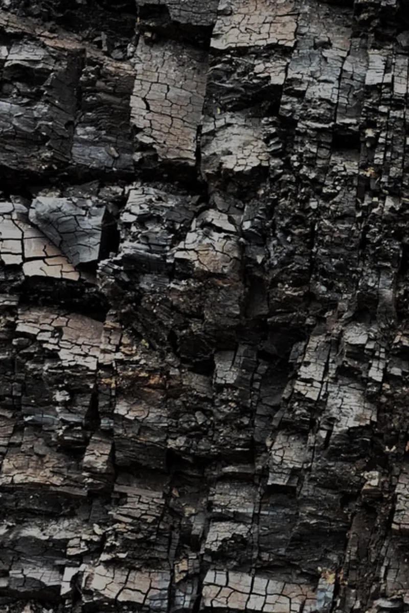 SLE - Coal Mine Byproduct